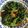 ゆかりりりー's cooksnap of when they made 豆苗のしゃきしゃき炒め.