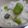 あーこ2929's cooksnap of when they made 簡単そら豆ご飯～ほんのり塩味が美味しい～.