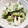 クックGQJNXK☆'s cooksnap of when they made 簡単♪スナップエンドウとちくわの梅肉和え.