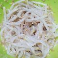 つぽんず's cooksnap of when they made 居酒屋さんのもやしナムル.