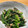 daikanon's cooksnap of when they made 小松菜とツナの辛子和え.