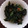 小麦粉【100g】's cooksnap of when they made ほうれん草の茎とわかめの梅干しあえ.