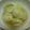 くまくまくまの子's cooksnap of when they made コンソメ味のロールキャベツ.