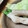 か～りん∞'s cooksnap of when they made 簡単！まるごとアスパラガスの豚肉巻き.