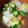 みーちーこー's cooksnap of when they made 白菜とウインナーとオクラのスープ.