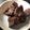 trianerita's cooksnap of when they made 常備菜に。鶏レバーのウスターソース煮.
