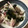 宮田小豆's cooksnap of when they made さっぱり紫玉ねぎとわかめの酢の物.