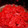 KEIKO。S's cooksnap of when they made 万能本格*トマトソース.