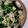 クック船長900's cooksnap of when they made エビとニラもやしの塩炒め♪卵入り！.