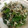 ネギがお好き's cooksnap of when they made 簡単!!ほうれん草のおひたし...。.