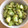 ほもい's cooksnap of when they made 空豆を薄皮から取り出す方法.