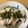 むらみゅう's cooksnap of when they made ニラだれの茹で鶏.