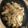 ＊いのなか＊'s cooksnap of when they made 鶏の手羽元と大根のさっぱり煮.