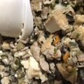 マリアマリママ's cooksnap of when they made スタミナ！そぼろごはん.
