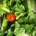 やーしー's cooksnap of when they made Margaretのシーザーサラダ.