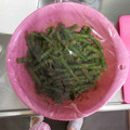 彩音ｍａｍａ's cooksnap of when they made 誰でも簡単☆いんげんの胡麻和え.