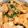 クック57W0GW☆'s cooksnap of when they made 野菜もいっしょに♪鶏照り丼.
