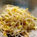 Tケｰ′sK's cooksnap of when they made 居酒屋直伝つまみシリーズ☆豆もやしナムル.