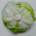 フリージア♬'s cooksnap of when they made レタスの保存方法♬シャキッと長持ち♬.