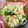 eimmy31285's cooksnap of when they made 海苔と大葉香る♪和風タラモサラダ.