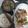 usako31's cooksnap of when they made もやしニラ炒め.
