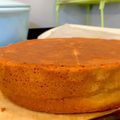 chomegu's cooksnap of when they made コツ満載！失敗しないスポンジケーキ.
