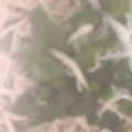 ma___111's cooksnap of when they made 超簡単！！ピーマンのさっと麺つゆ煮.