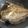 ながともみ's cooksnap of when they made カレイの煮付け.
