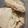 aami♪'s cooksnap of when they made ＊～レンジで簡単！サラダチキン～＊.