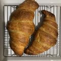 さとかん's cooksnap of when they made Ileniaのコルネット.