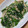 ナーちゃん's cooksnap of when they made 簡単副菜！エノキとニラの中華和え.