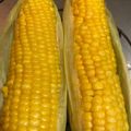 アンテの母さん's cooksnap of when they made 皮付で美味しいとうもろこしの茹で方レンジ.