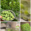 ta2o's cooksnap of when they made 梅を冷凍するから簡単☻手作り梅酒.