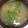 オールボン's cooksnap of when they made 旬がたっぷり♥みそ汁.