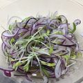 あきプー☆'s cooksnap of when they made アーリーレッド（紫玉ねぎ）の万能マリネ♪.