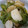 stella622's cooksnap of when they made カブとピーマンのマリネ(和風).