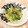 なつき☆ミ's cooksnap of when they made ✨とろ〜り白菜とシメジのマヨネーズ炒め✨.