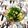 Satoco❋'s cooksnap of when they made 豆腐サラダ☆大葉☆長ネギ.