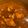 さこあ's cooksnap of when they made 美味しい！手羽元カレー.