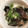 クロクロクローバー's cooksnap of when they made 15分調理♪かつおのたたきで旨漬け丼♡.