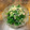 GoGo島みかん's cooksnap of when they made おかひじきとえのきだけのおひたし.