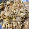 けーーーーーーーーい's cooksnap of when they made 豆もやしのナムル.