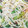 クックDAD's cooksnap of when they made 昆布茶で、もやしのおかか和え.