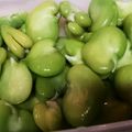 うめこ＆りゅうのすけ's cooksnap of when they made そら豆の美味しいゆで方♪.
