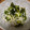 まり郎's cooksnap of when they made ✿きゅうり＆しらすの酢の物✿.