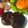 chibijuju's cooksnap of when they made しいたけの酒蒸しバターしょうゆ＊.
