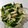 tamago大好き's cooksnap of when they made キノコとほうれん草のガリバタ炒め.