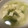 ☆苹凛☆'s cooksnap of when they made 簡単❀朝食♪えのきとネギと豆腐のお吸い物.