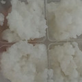 ririco*'s cooksnap of when they made 簡単！炊飯器で5倍粥.