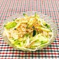 Satoco❋'s cooksnap of when they made 鶏のささみで春雨サラダ.